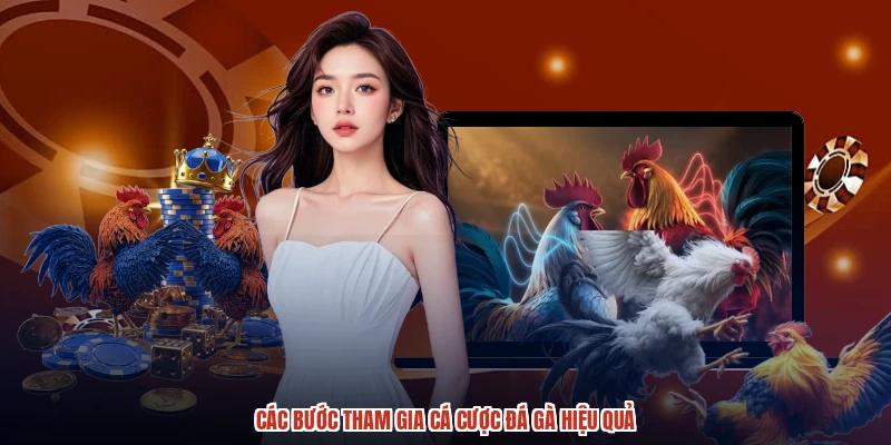 Các bước tham gia cá cược đá gà hiệu quả