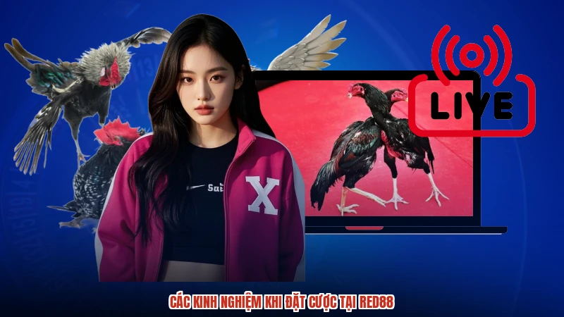 Các kinh nghiệm khi đặt cược tại RED88 Các kinh nghiệm khi đặt cược tại RED88