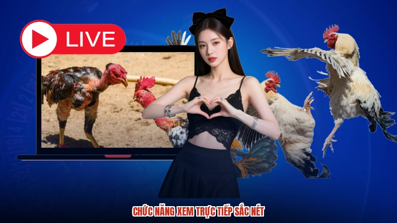 Chức năng xem trực tiếp sắc nét Chức năng xem trực tiếp sắc nét