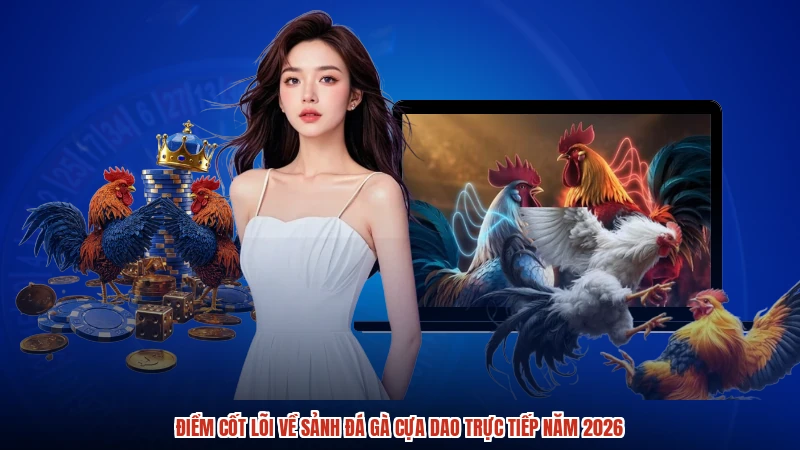 Điểm cốt lõi về sảnh đá gà cựa dao trực tiếp năm 2026 Điểm cốt lõi về sảnh đá gà cựa dao trực tiếp năm 2026