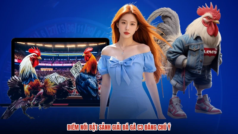 Điểm nổi bật sảnh giải đá gà C3 đáng chú ý Điểm nổi bật sảnh giải đá gà C3 đáng chú ý