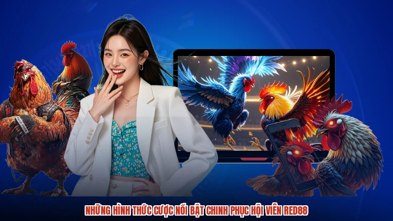 Những hình thức cược nổi bật chinh phục hội viên RED88