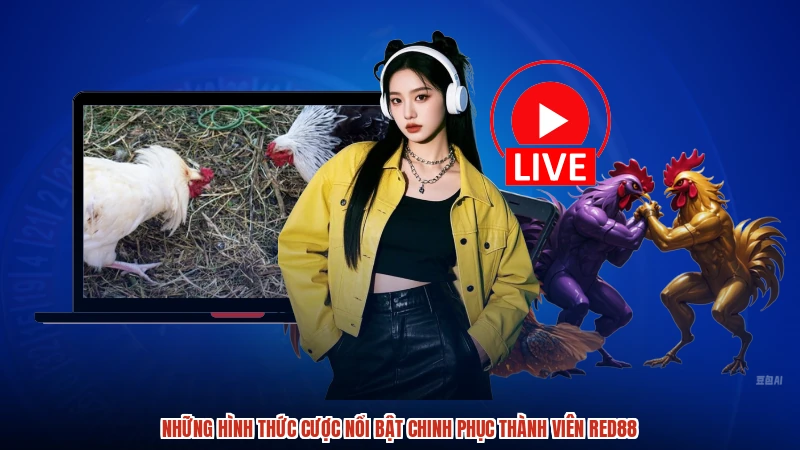 Những hình thức cược nổi bật chinh phục thành viên RED88 Những hình thức cược nổi bật chinh phục thành viên RED88