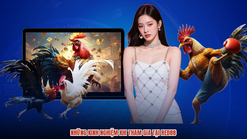 Những kinh nghiệm khi tham gia tại RED88 Những kinh nghiệm khi tham gia tại RED88